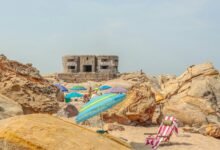 callback completion rate average