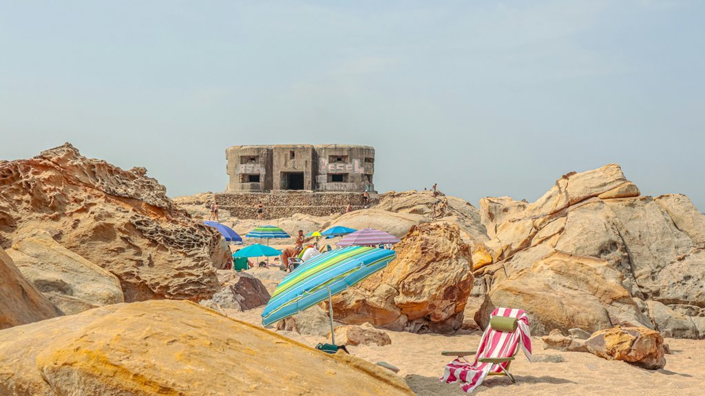 callback completion rate average