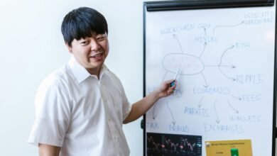 expert analysis and insights