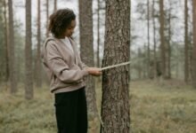 harsh beniwal s height details